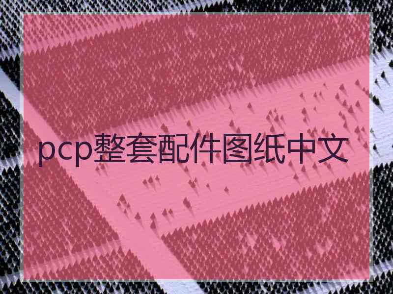 pcp整套配件图纸中文