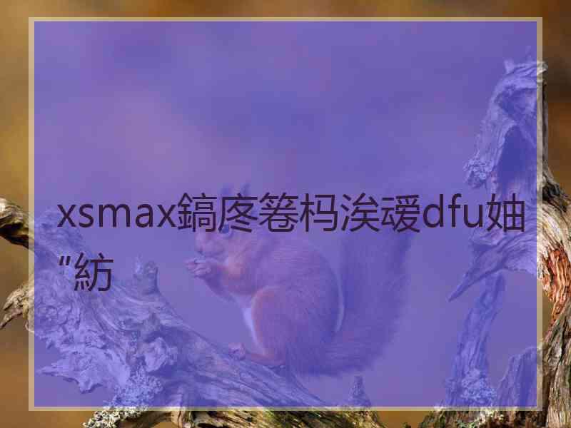 xsmax鎬庝箞杩涘叆dfu妯″紡