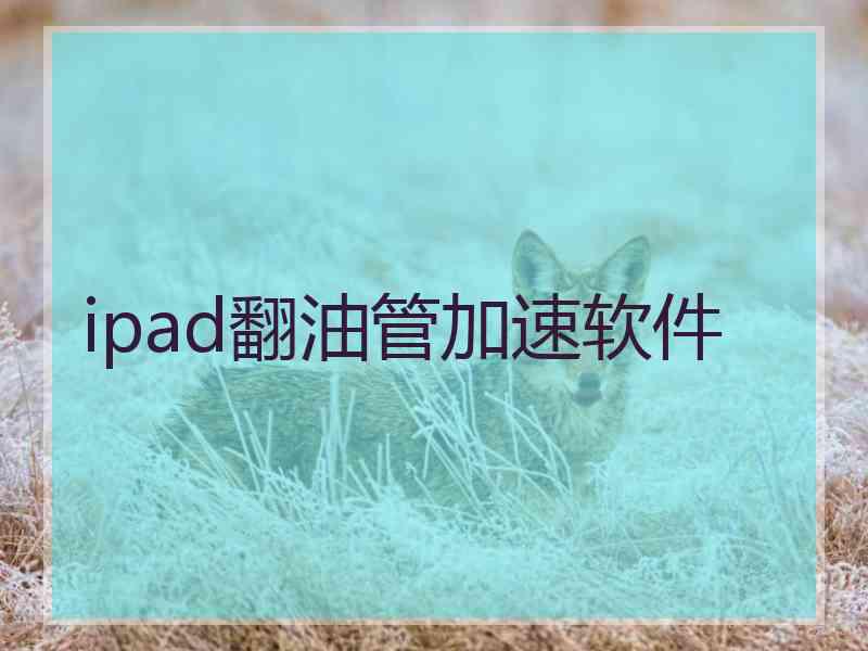 ipad翻油管加速软件