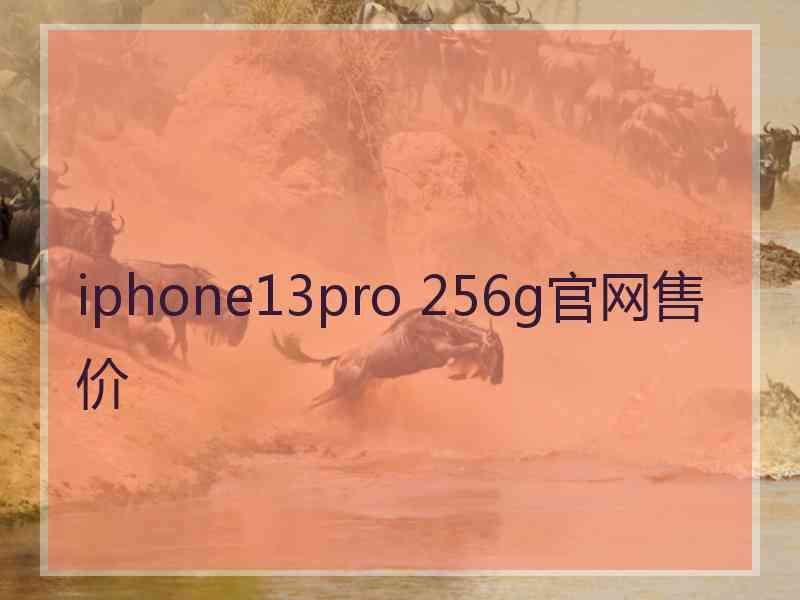 iphone13pro 256g官网售价