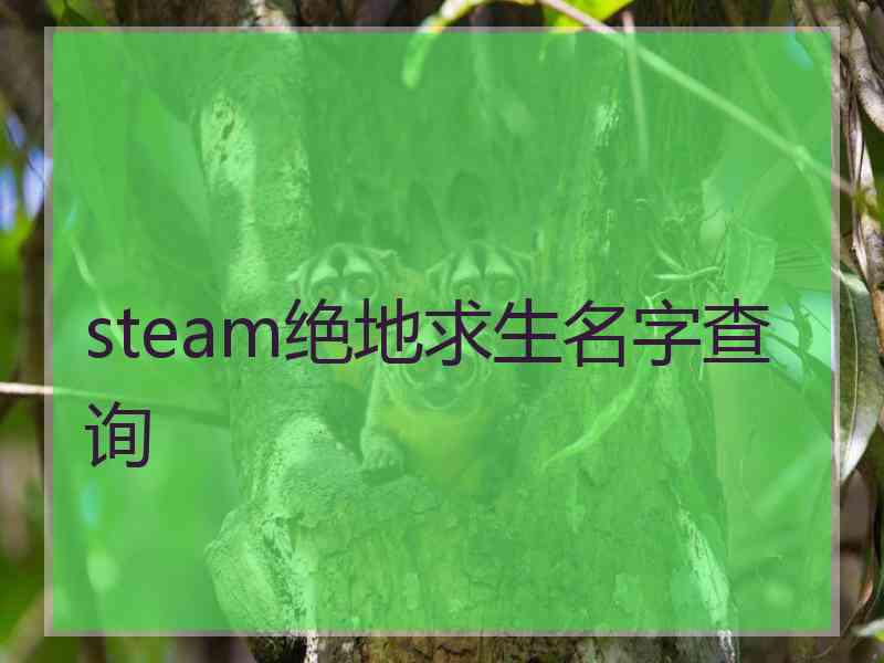 steam绝地求生名字查询