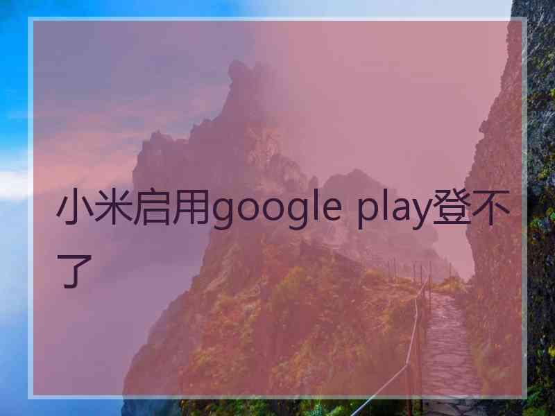 小米启用google play登不了