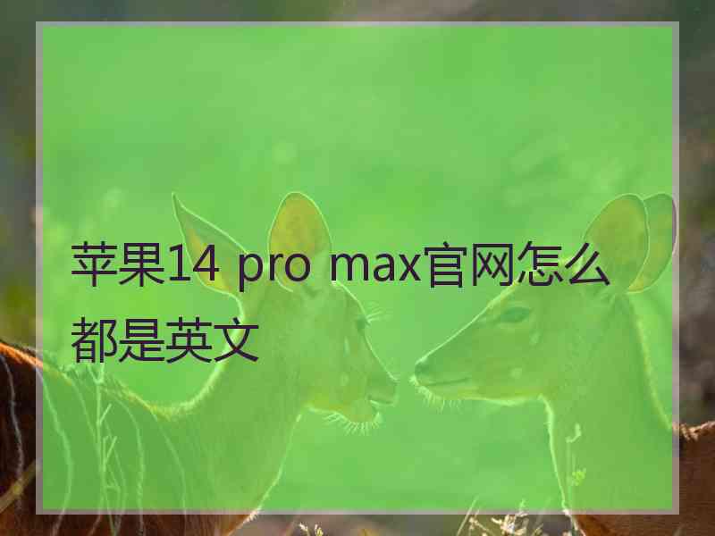 苹果14 pro max官网怎么都是英文