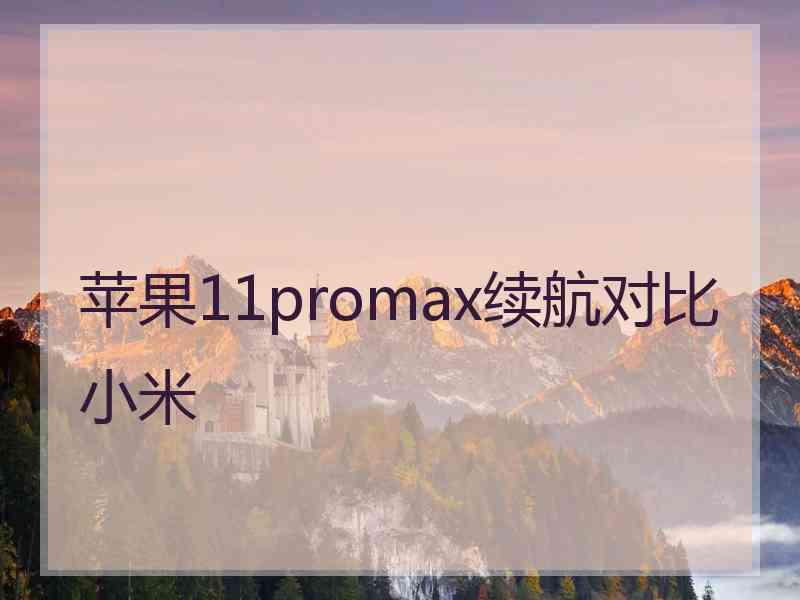 苹果11promax续航对比小米