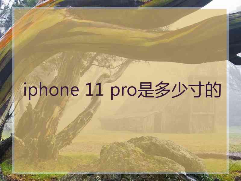 iphone 11 pro是多少寸的