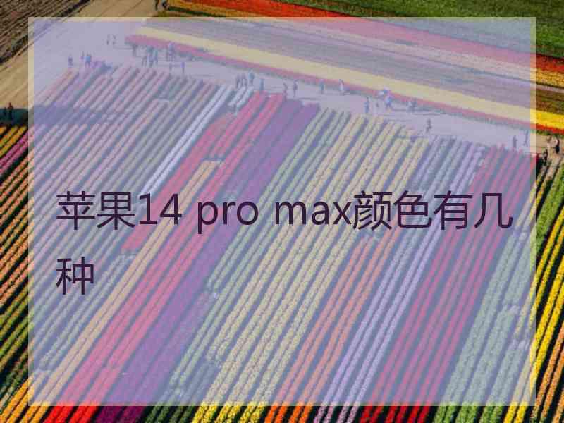 苹果14 pro max颜色有几种