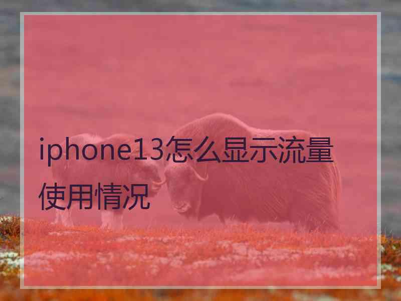 iphone13怎么显示流量使用情况