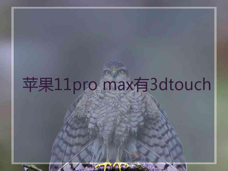 苹果11pro max有3dtouch