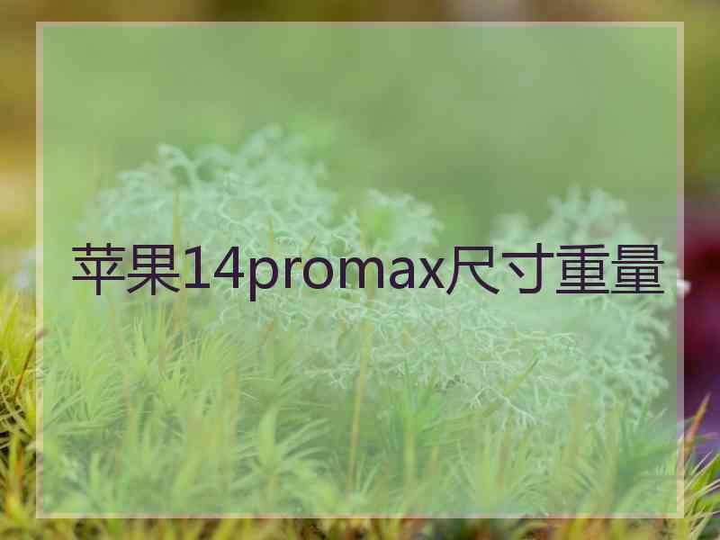 苹果14promax尺寸重量