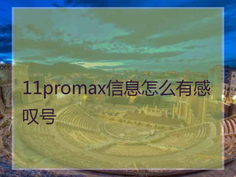 11promax信息怎么有感叹号