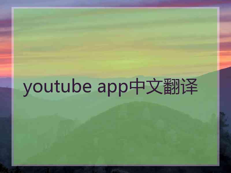 youtube app中文翻译