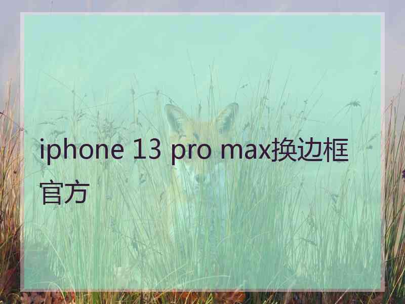 iphone 13 pro max换边框官方