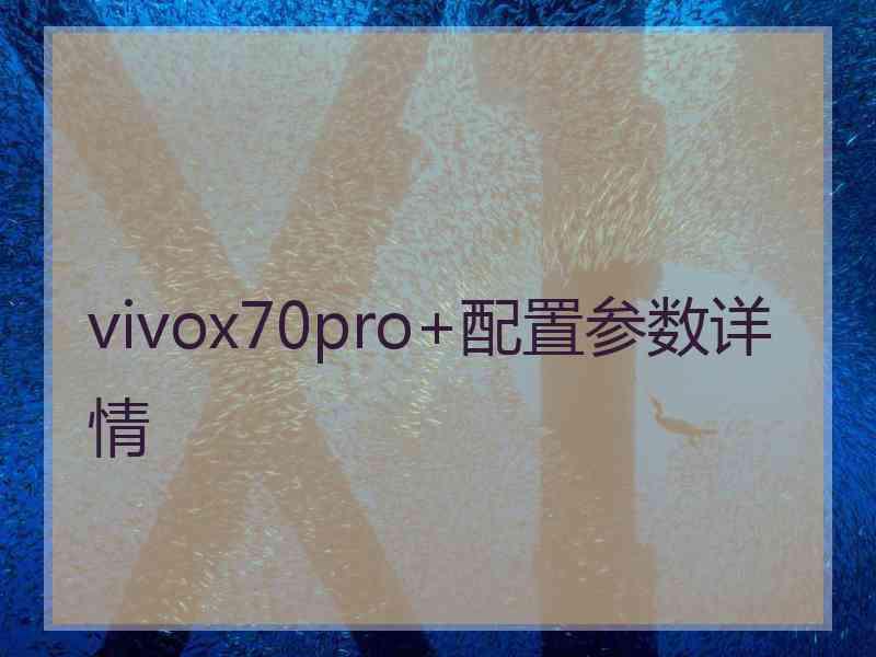 vivox70pro+配置参数详情