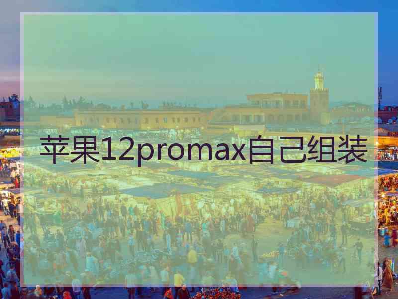 苹果12promax自己组装