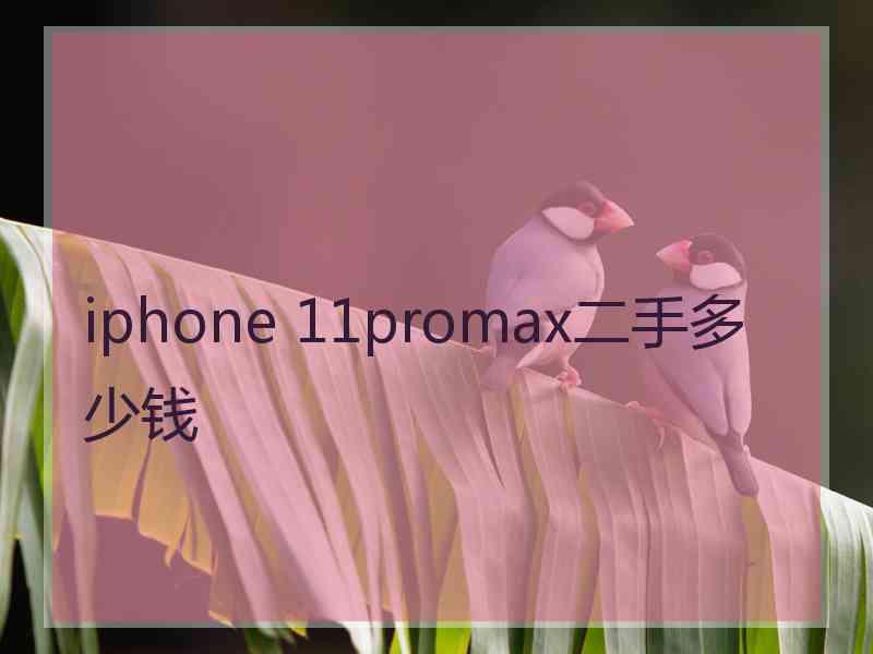 iphone 11promax二手多少钱