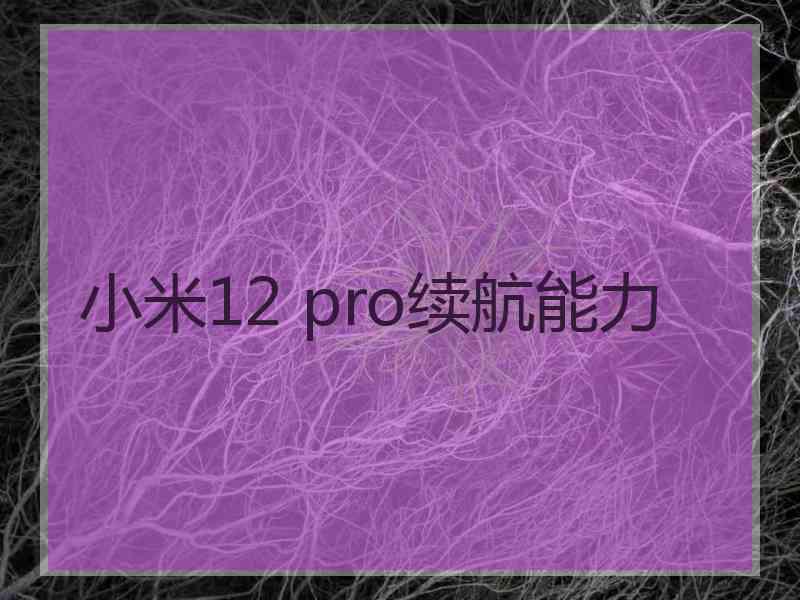 小米12 pro续航能力