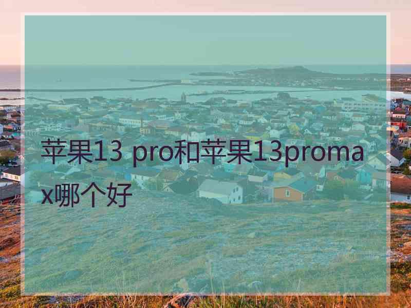 苹果13 pro和苹果13promax哪个好