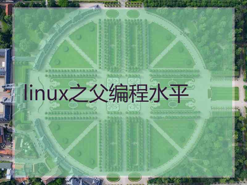 linux之父编程水平