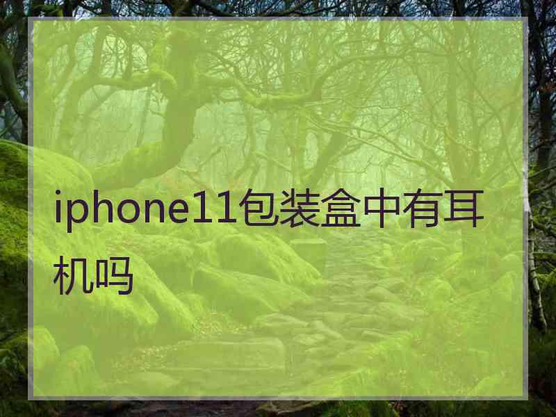 iphone11包装盒中有耳机吗