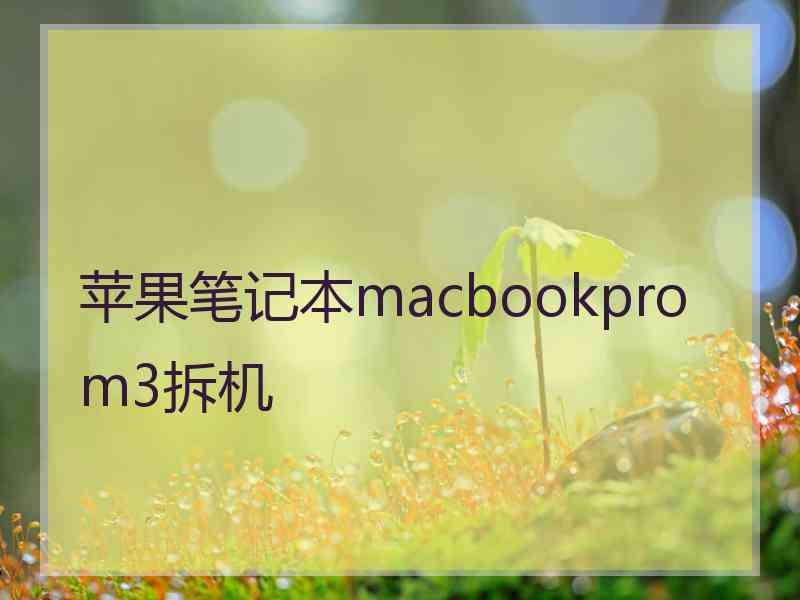 苹果笔记本macbookprom3拆机