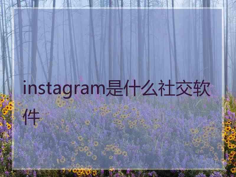 instagram是什么社交软件