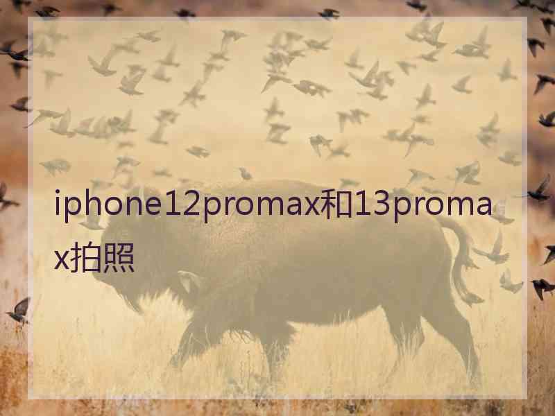 iphone12promax和13promax拍照