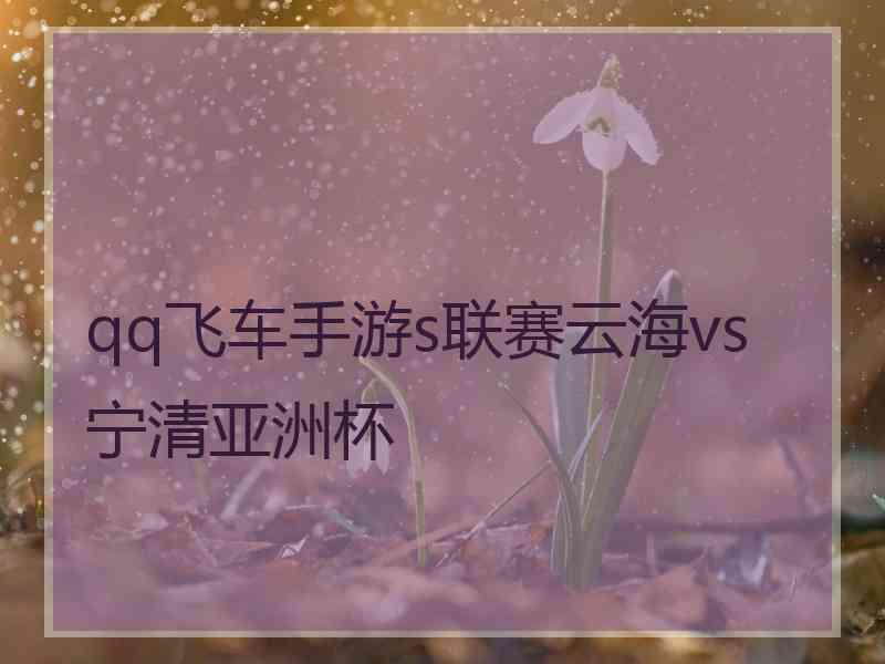 qq飞车手游s联赛云海vs宁清亚洲杯