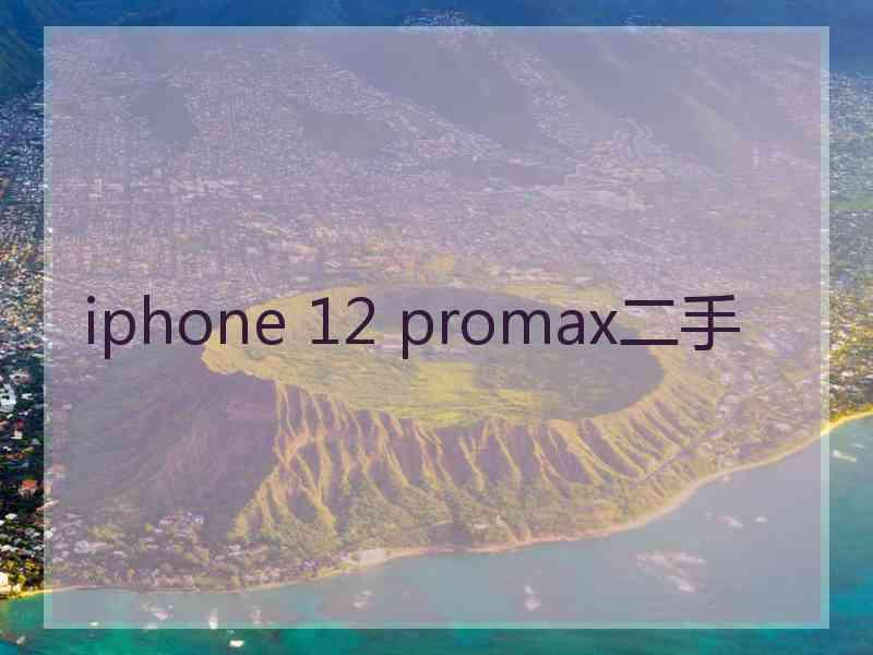 iphone 12 promax二手