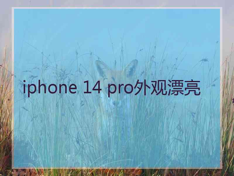 iphone 14 pro外观漂亮