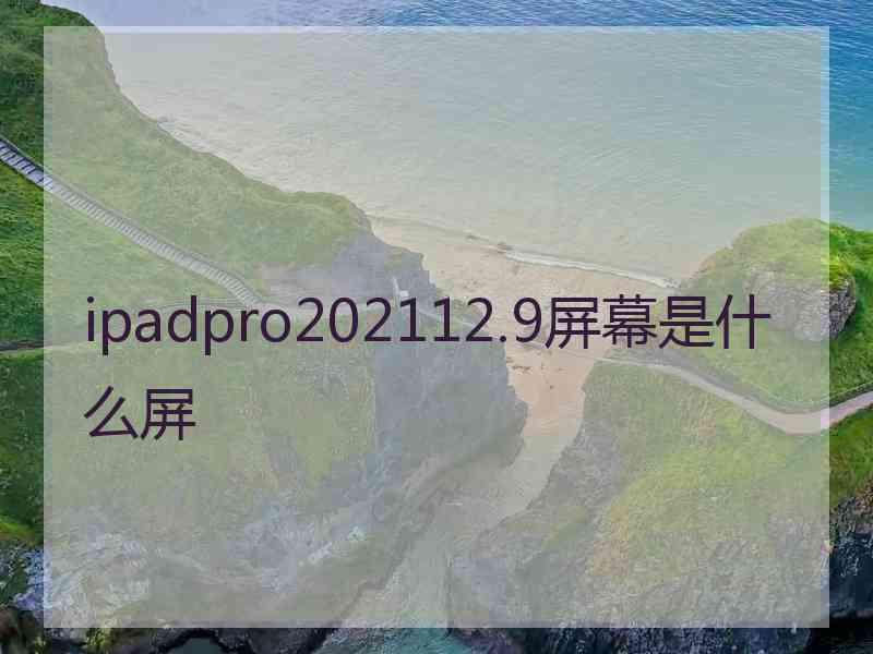 ipadpro202112.9屏幕是什么屏