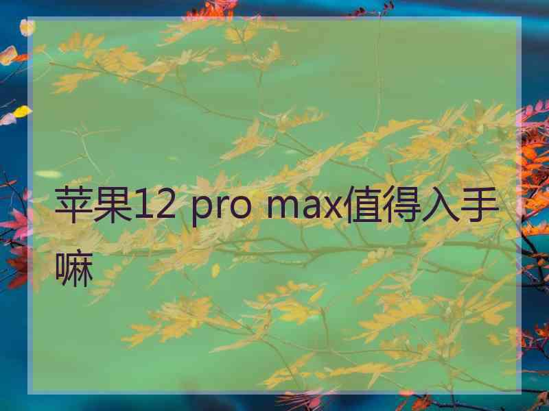 苹果12 pro max值得入手嘛