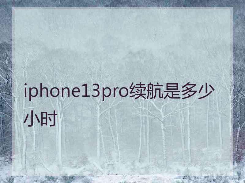 iphone13pro续航是多少小时