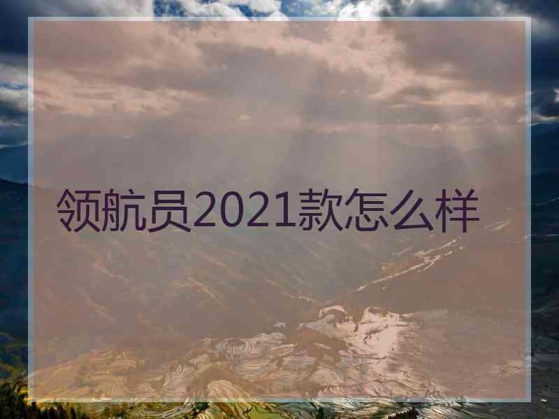 领航员2021款怎么样