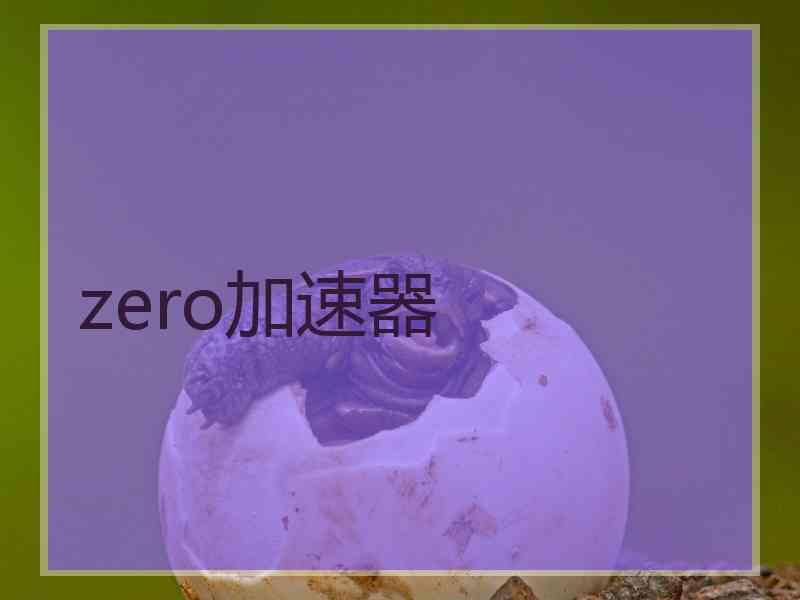 zero加速器