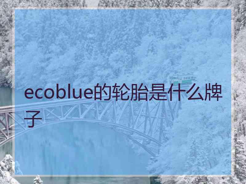 ecoblue的轮胎是什么牌子