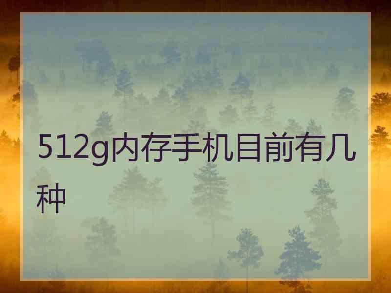 512g内存手机目前有几种