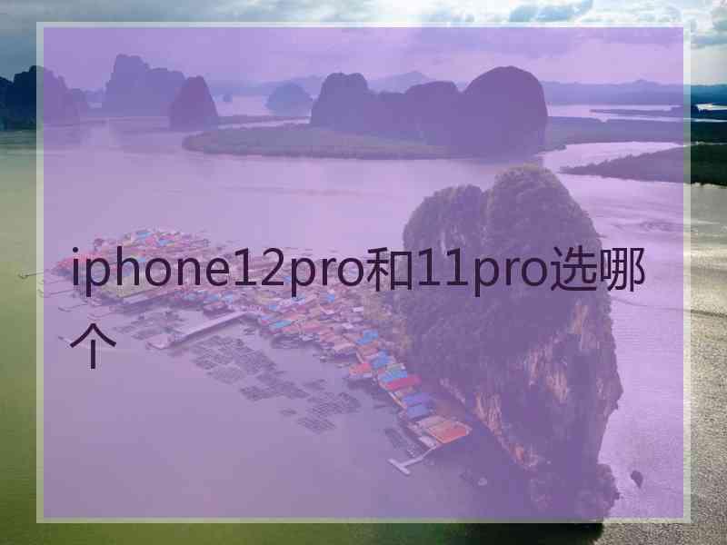 iphone12pro和11pro选哪个