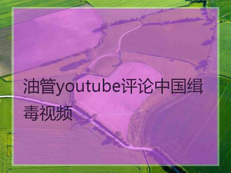 油管youtube评论中国缉毒视频