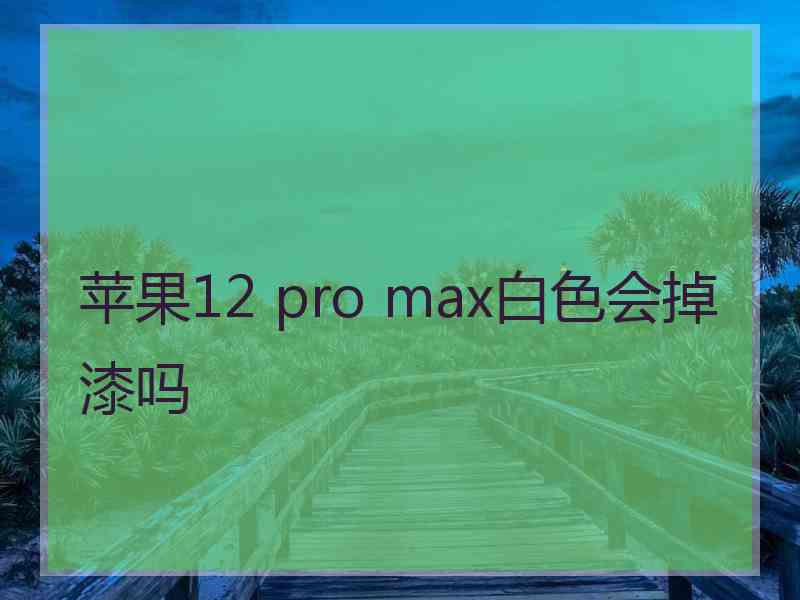 苹果12 pro max白色会掉漆吗