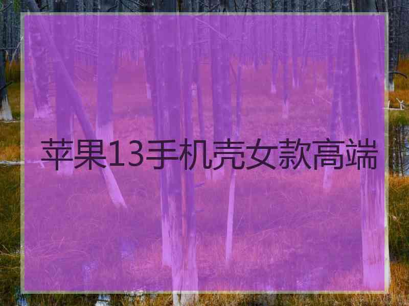 苹果13手机壳女款高端