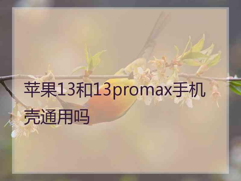 苹果13和13promax手机壳通用吗