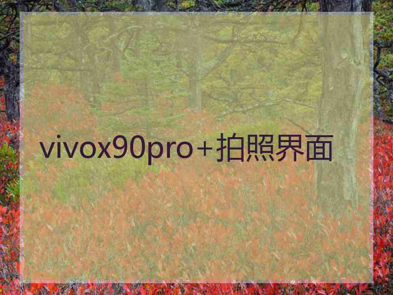 vivox90pro+拍照界面