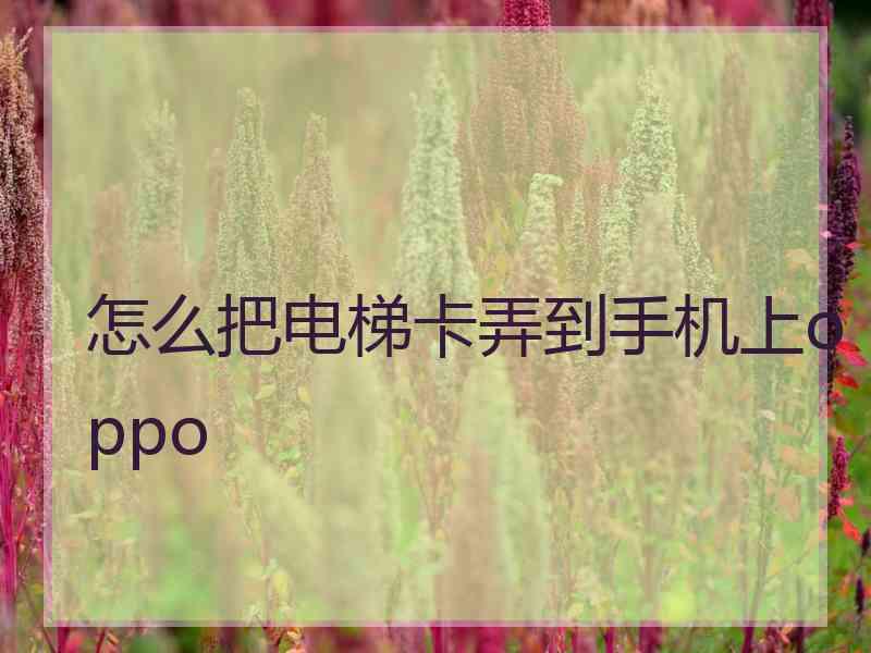 怎么把电梯卡弄到手机上oppo