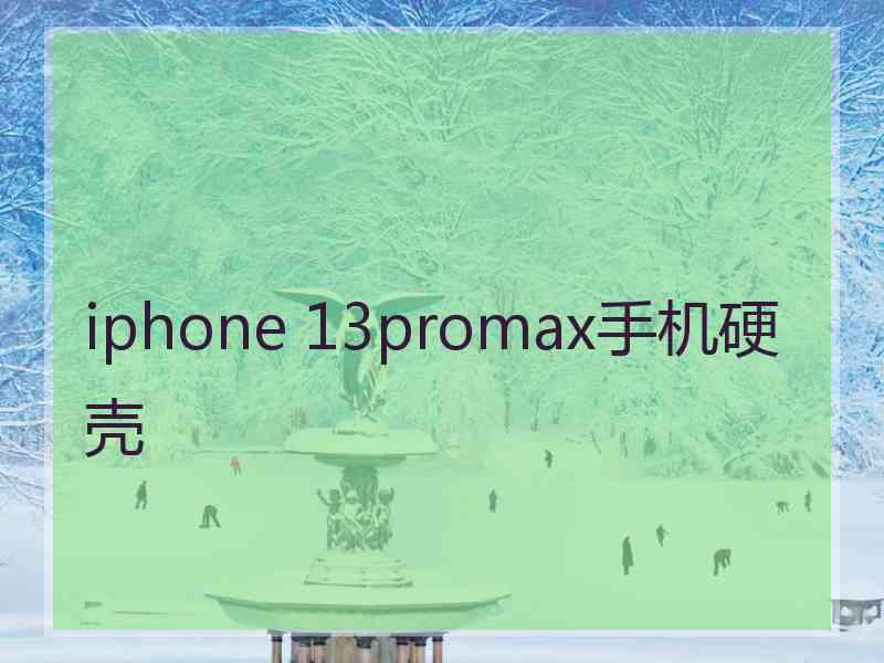 iphone 13promax手机硬壳