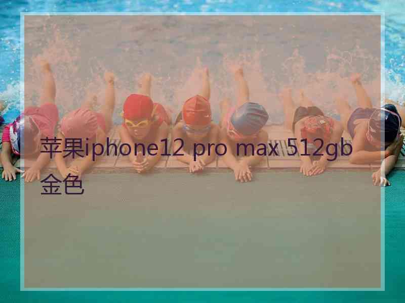 苹果iphone12 pro max 512gb 金色