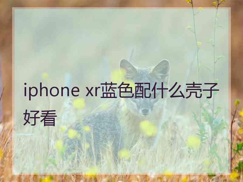 iphone xr蓝色配什么壳子好看