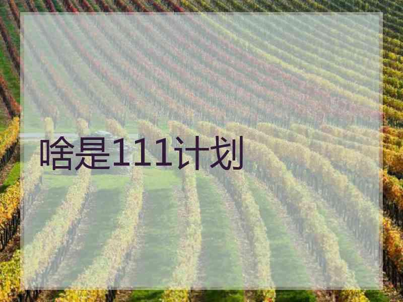 啥是111计划