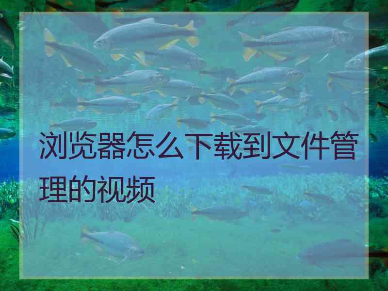 浏览器怎么下载到文件管理的视频