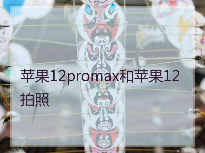 苹果12promax和苹果12拍照