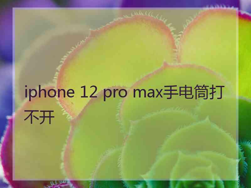 iphone 12 pro max手电筒打不开